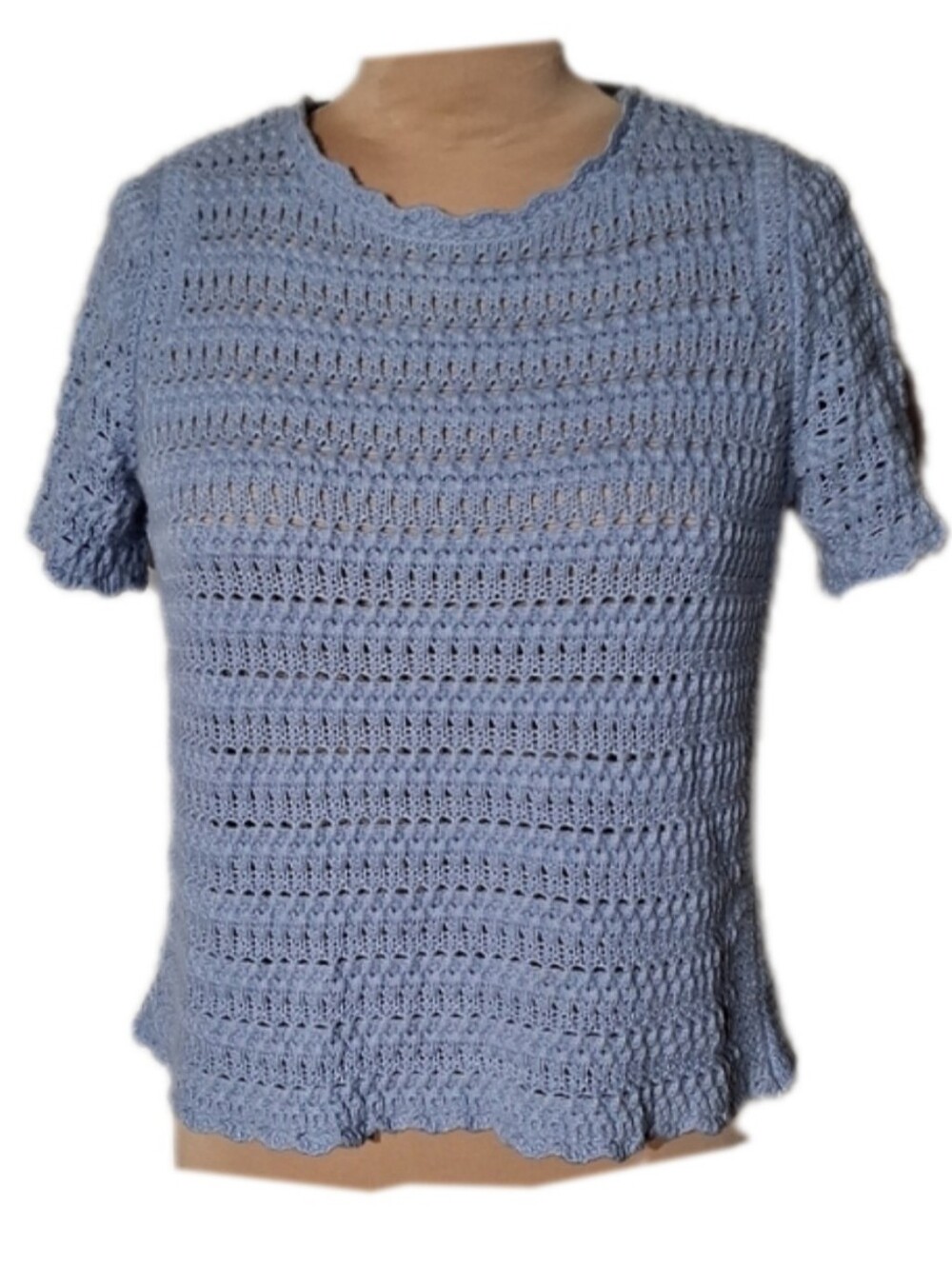 Ann Taylor Sky Blue Crochet Short Sleeve Sweater